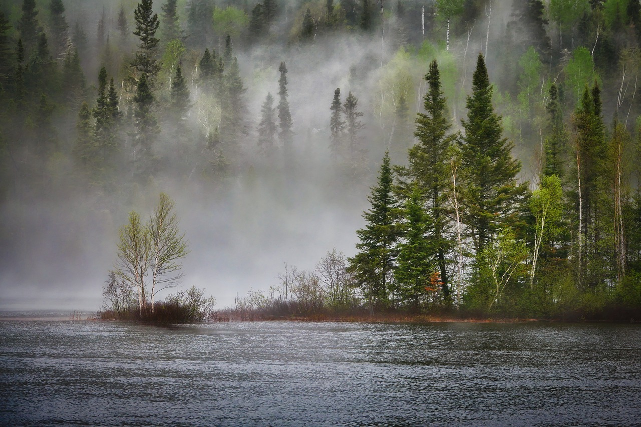 Biodiversity Beyond Borders: The Importance of Transboundary Conservation